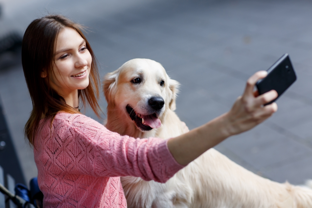 photo of woman on bench doing selfie with dog in summer park