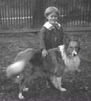 boydog