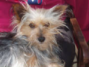 dogfr5