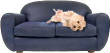 God Wants Me To Be A Good Dog! dogsofa2.jpg.w110h53