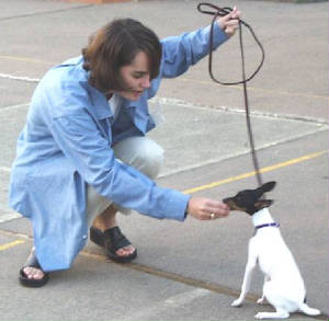Dog Training With Food dogtreat3