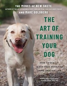 art of training your dog