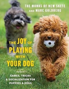 joy of playing with your dog