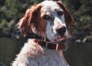 cooper3