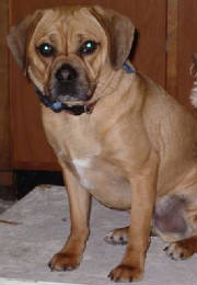 fariscrop.jpg.w180h260