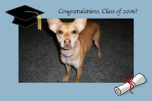 zoey.jpg.w300h200 (1)